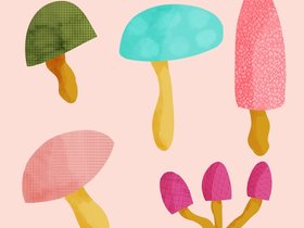 Mushrooms.jpg